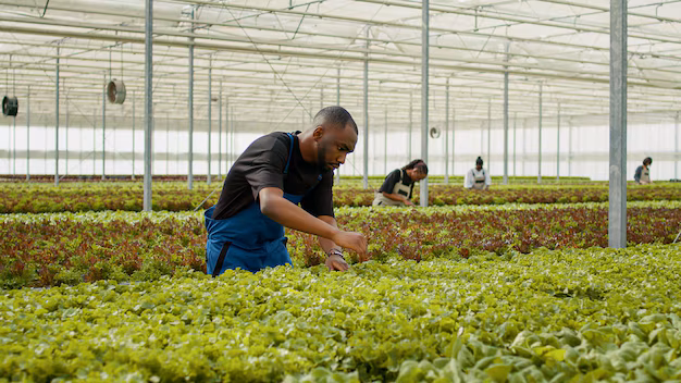 Innovation et analyse agronomique